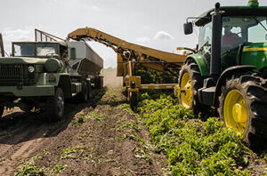 User generated content in real-time